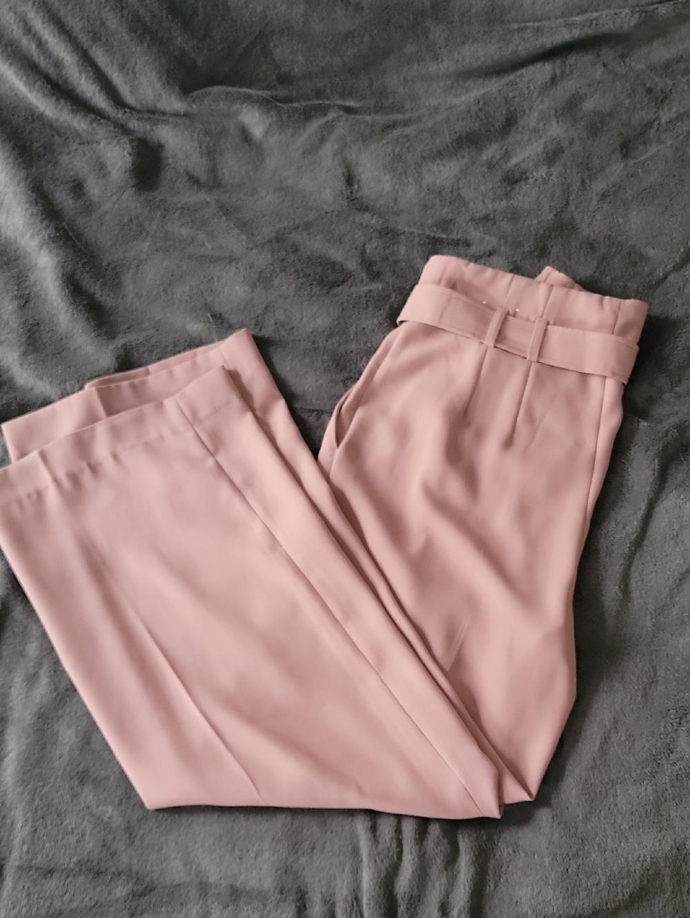 Express Wide Legged Tan Professional Pants